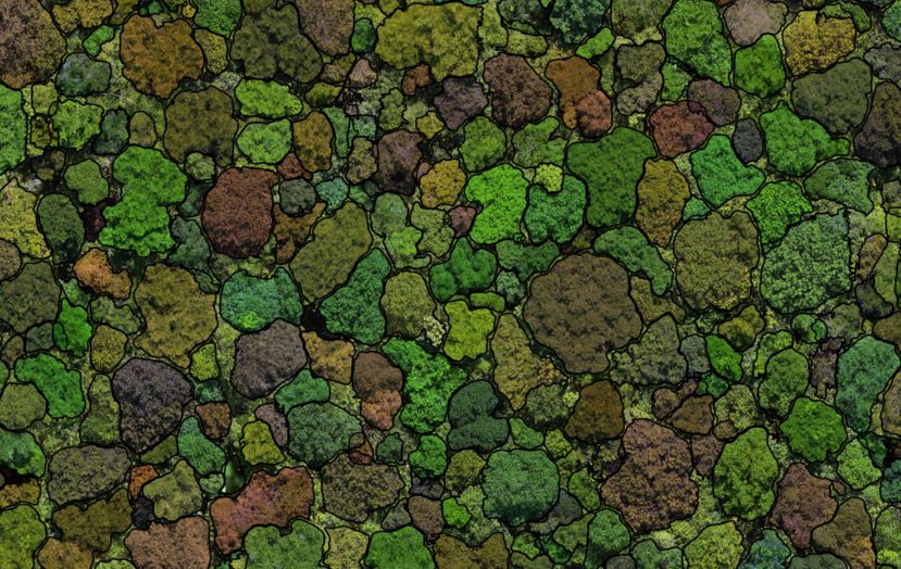 Miniatura da galeria 1