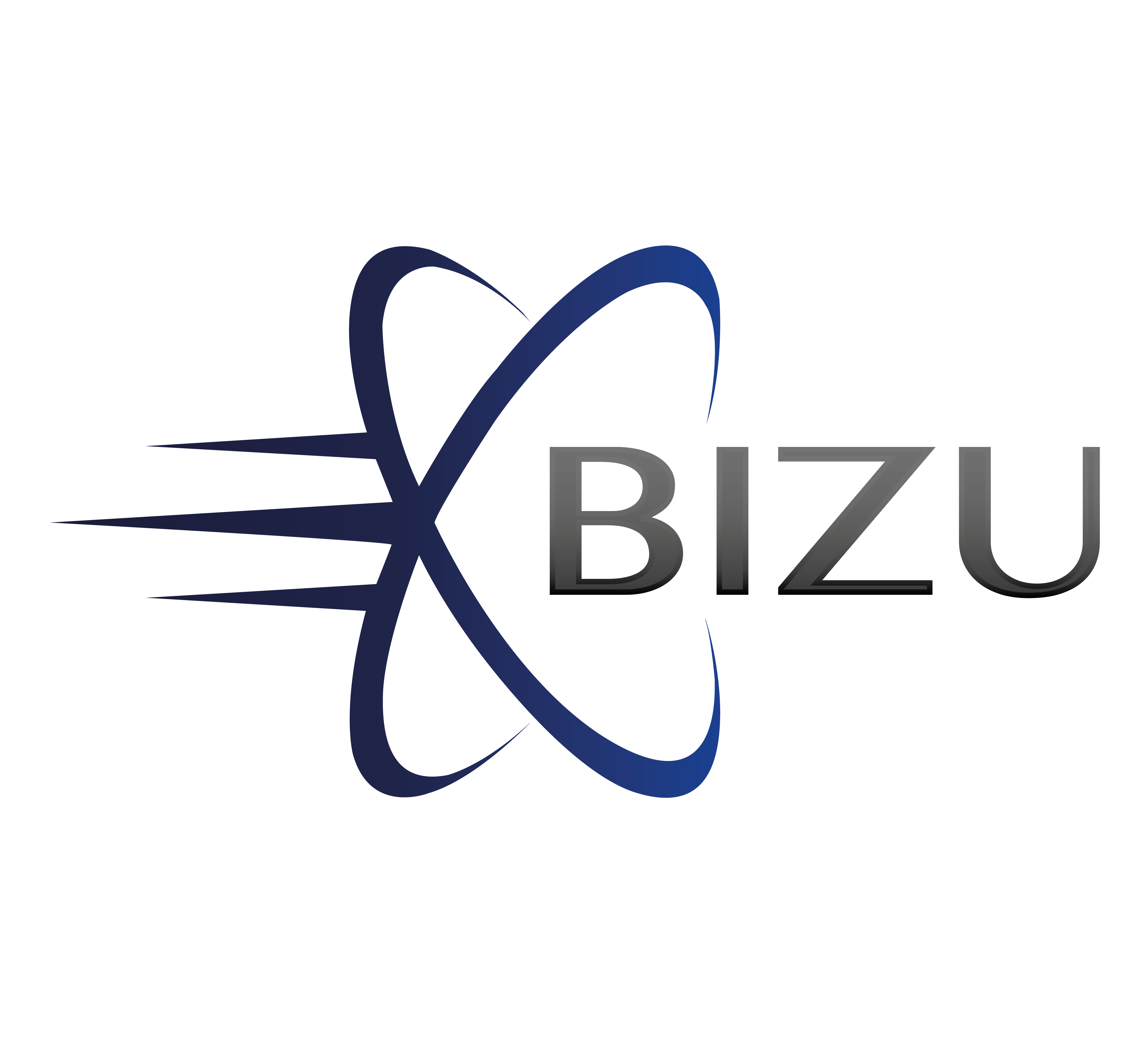 Bizu Space
